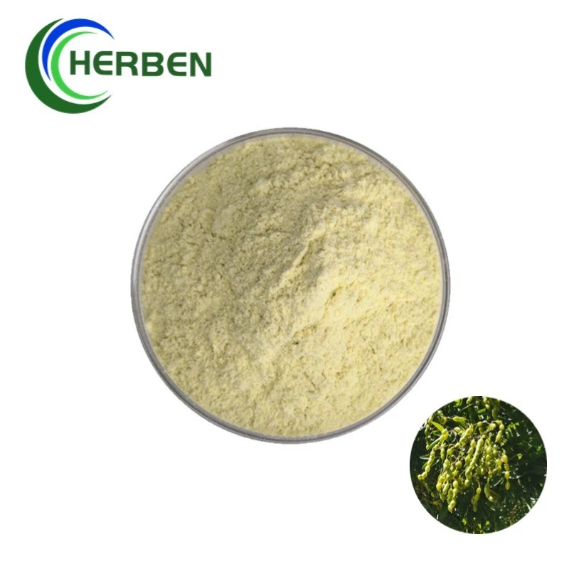 Genistein 98% suppliers